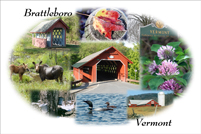 Brattleboro, VT - Collage #2 with moose & calf
